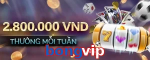 bongvip